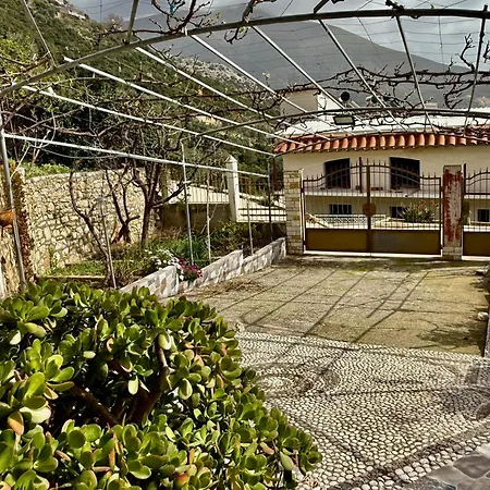 Nefeli * Piqeras